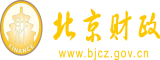 粉嫩嫩操逼视频北京市财政局