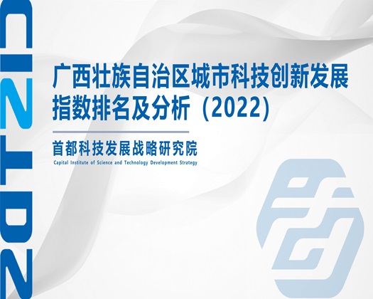 女人无毛骚穴被操【成果发布】广西壮族自治区城市科技创新发展指数排名及分析（2022）